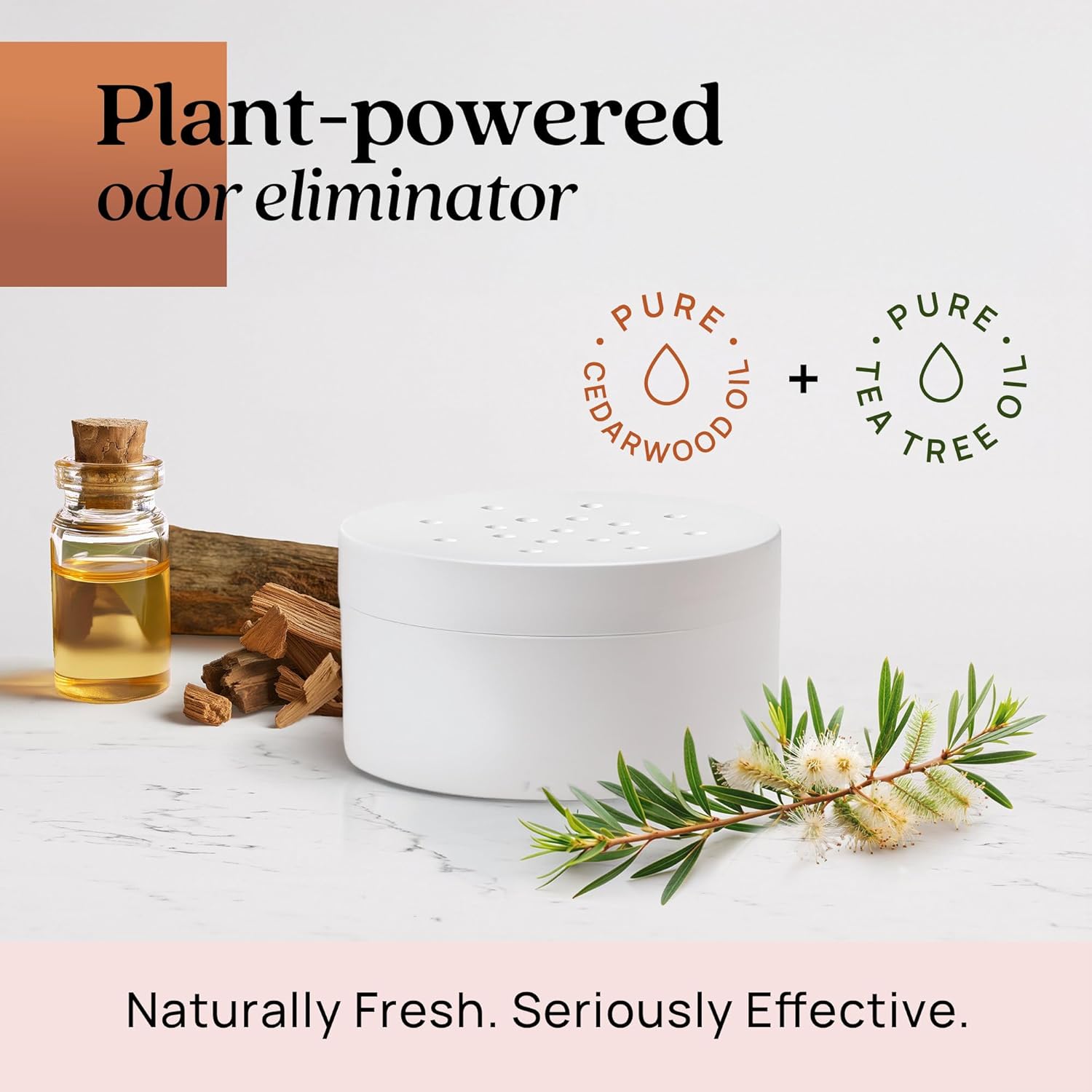 Azuna Pet Odor Eliminator for Strong Odor Gel | Plant Powered Australian Tea Tree Oil | Dog and Cat Room Deodorizer | Child and Pet Safe Air Fresheners for home | Cedarwood Scent | 8oz Pod - Happypetzone.online - Image 8