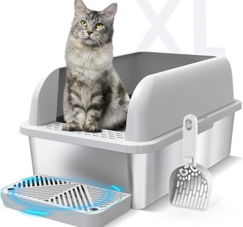 cat litter box for big cats