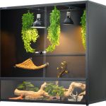 reptile enclosure large