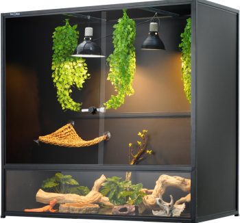 reptile enclosure large