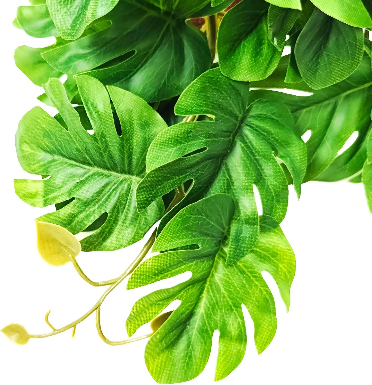Woyrise Reptile Artificial Plants for Terrarium, Amphibian Habitat Decor Plant, Bearded Dragon Tank Decorations fit Gecko Lizard Chameleon Ball Python Snake Frog - Monstera Bush - Happypetzone.online - Image 4