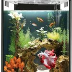 fish tank cheap amazon