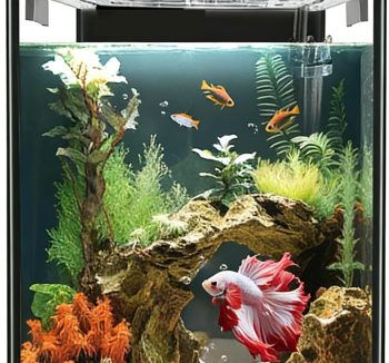 fish tank cheap amazon