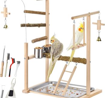 bird cage play top