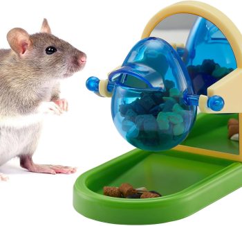 bird enrichment toys