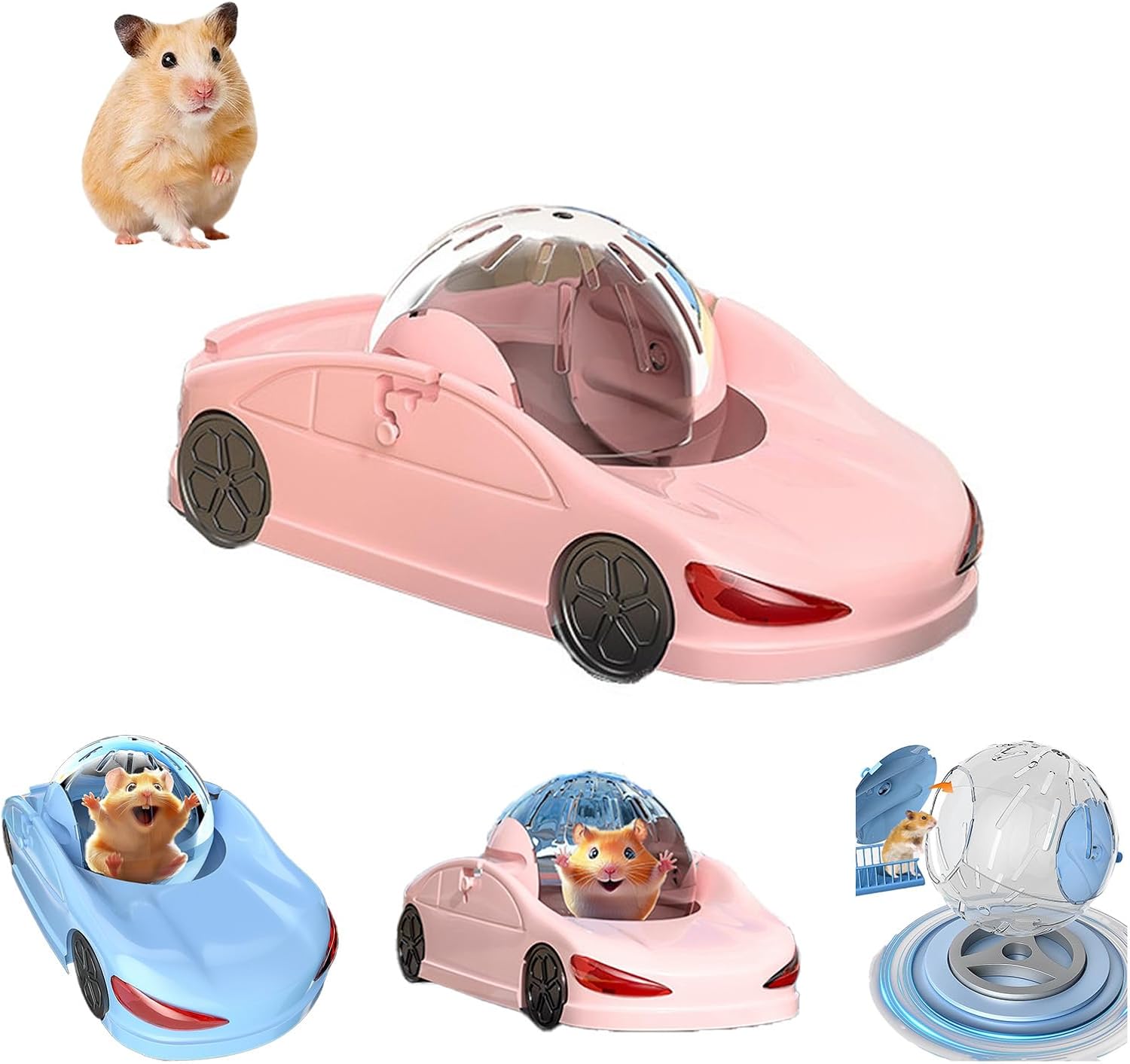 hamster ball exercise