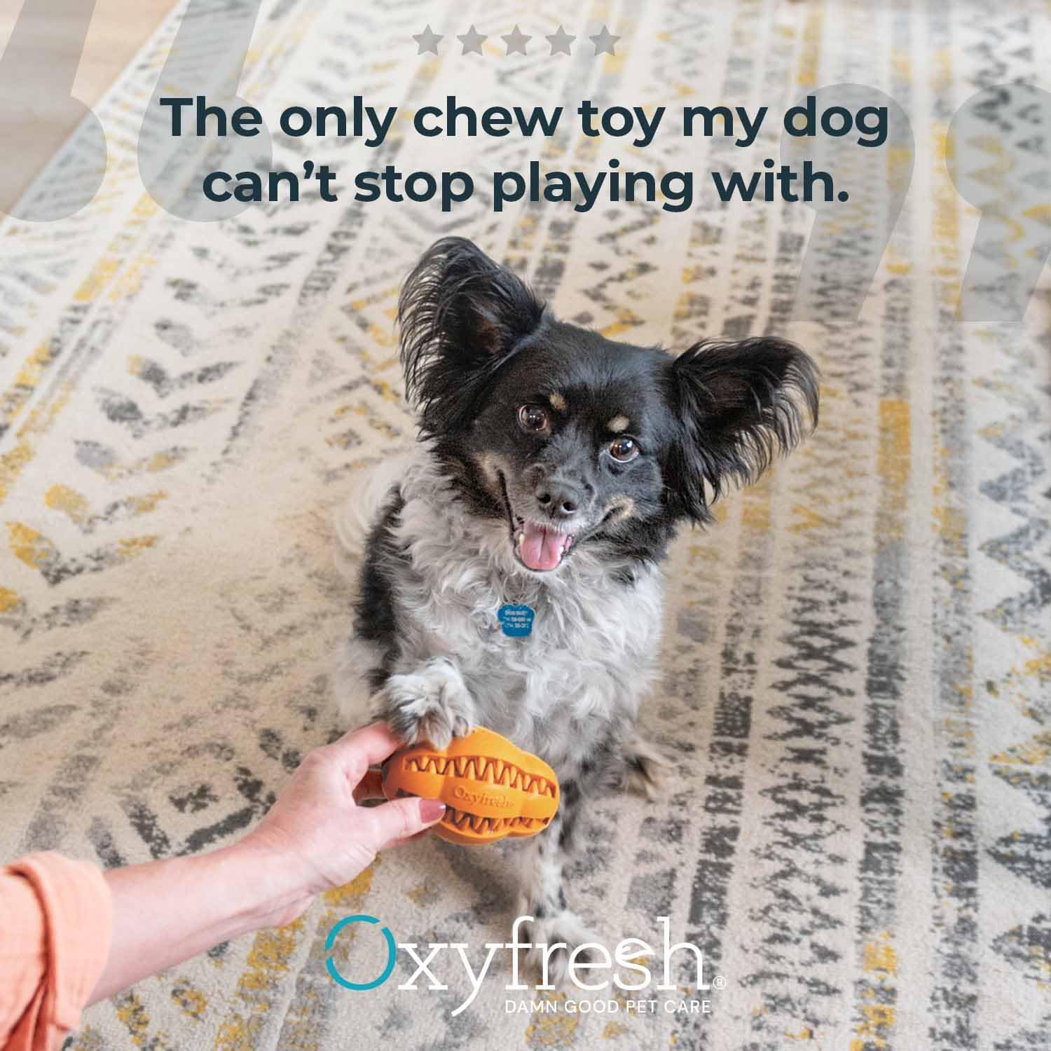 Oxyfresh Dog Dental Chew Toy - Best Dog Teeth Cleaning Toy – A Simple Bite and Brush Toy that Helps Remove Plaque, Cleans Teeth & Freshens Breath Without Brushing - Large - Happypetzone.online - Image 7