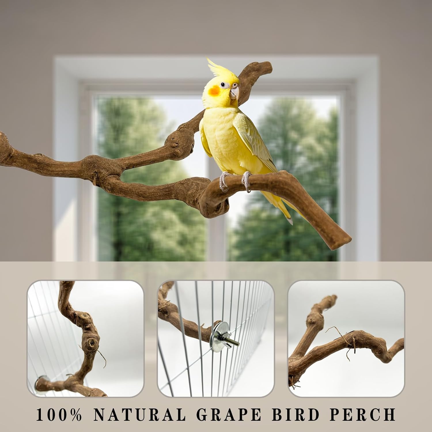 6 Pcs Medium Bird Perch Set, Natural Wood Bird Perches, Parrot Cage Toys for Cockatiels, Conures, Budgies, and Parakeets, Cage Accessories for Small and Medium Parrots - Happypetzone.online - Image 3