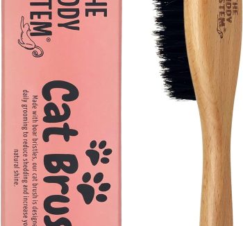 cat brush for shedding