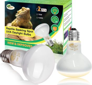 reptile basking light