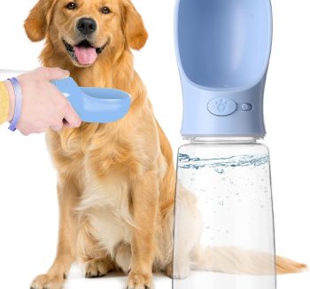 dog travel water bottle