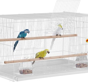 bird cage for small birds