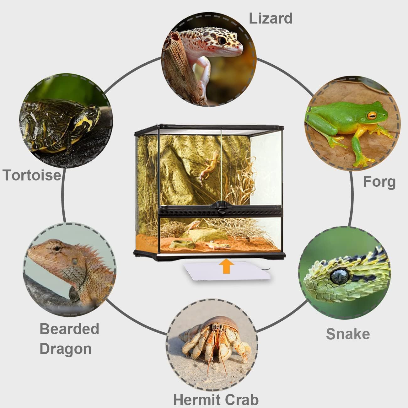 Aiicioo Reptile Heating Pad - Hermit Crab Heater Heat Mat for Reptiles Snake Lizard Terrarium 8 Watt - Happypetzone.online - Image 5