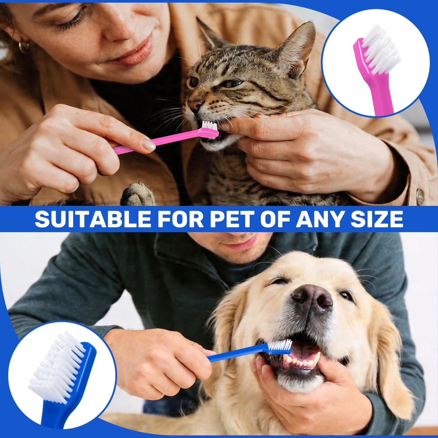 Newday Dog Toothbrush Set of 8 - Dual Headed, Dental Hygiene Convenient Soft Toothbrush to Clean pet Teeth, Dog Tooth Brushes for Small to Large Dogs, Cats, and Most Pets, Teeth Brush in Bulk - Happypetzone.online - Image 7