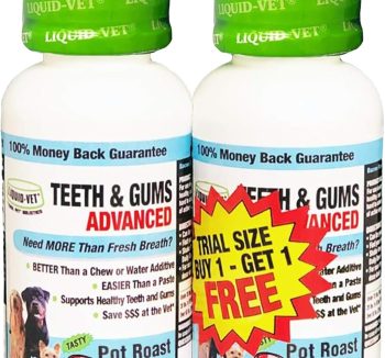 dog allergy supplement