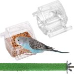 bird food for small birds