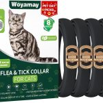 cat flea treatment