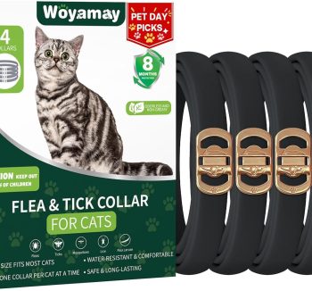 cat flea treatment