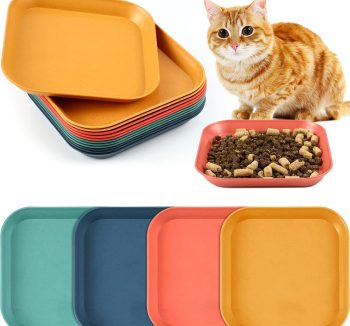 best wet cat food