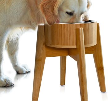 dog food for small dogs