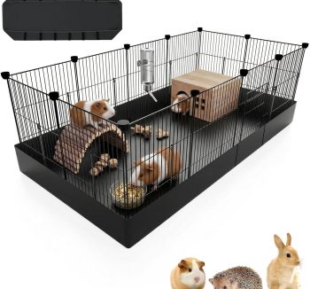 guinea pig enclosure indoor