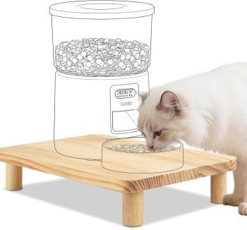 cheap cat food bulk