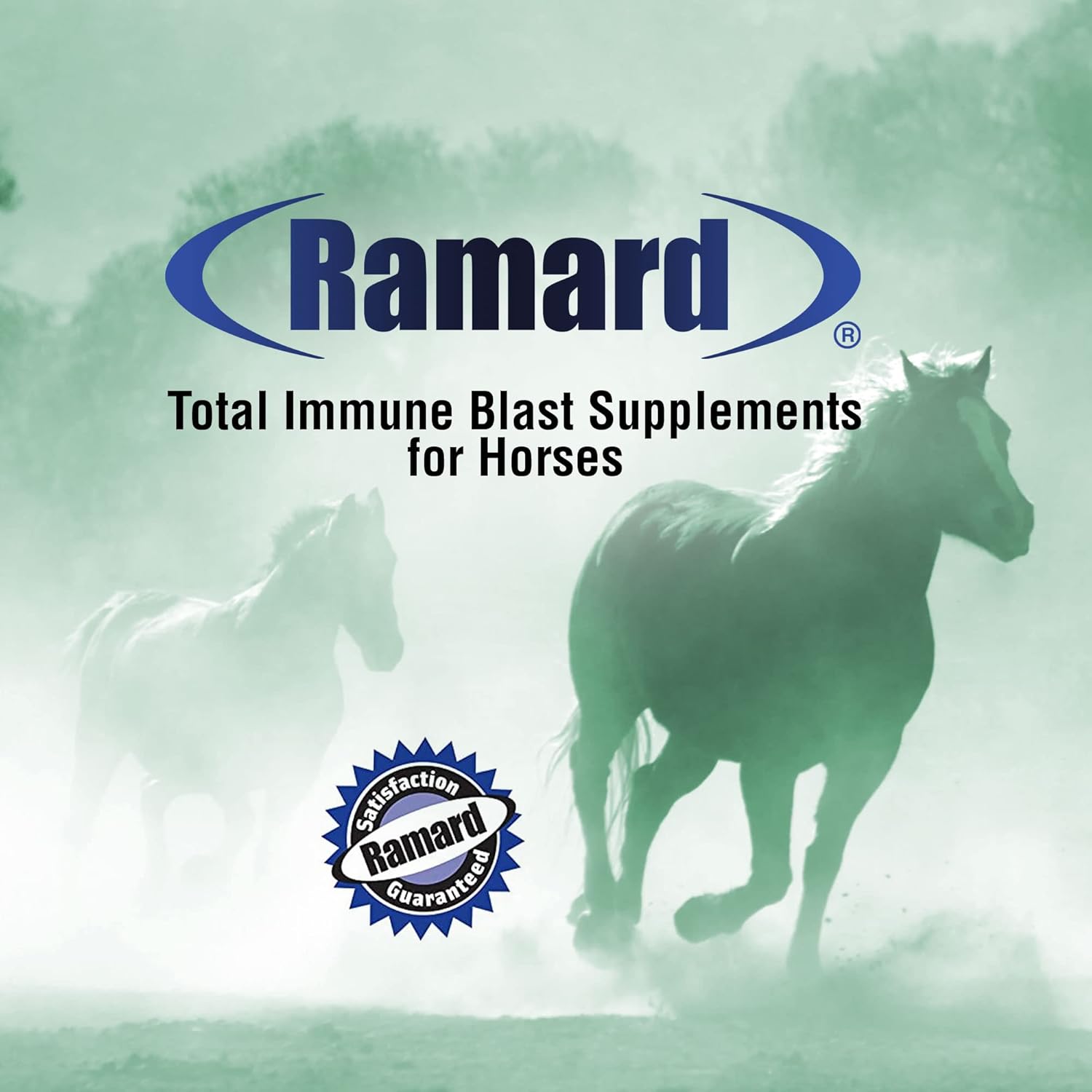Ramard Total Immune Blast - Equine Immune Support, Horse Vitamin & Powder Supplement w/Zinc, Selenium, Omega 3, Omega 6 & Vitamins w/Nucleotides, Equine Powder & Supplements 1.12 lbs. 30 Days Supply - Happypetzone.online - Image 6