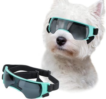 dog sunglasses