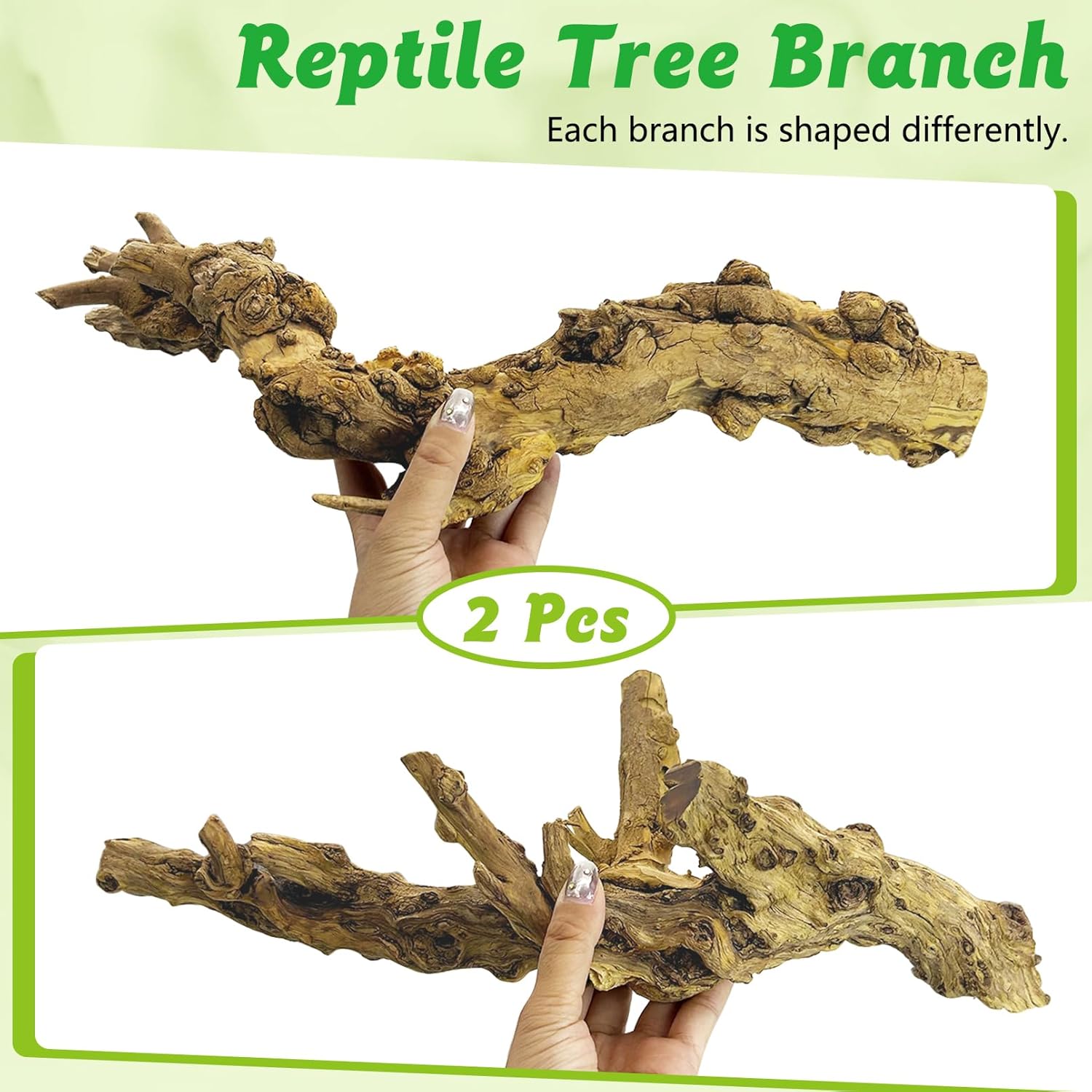 Reptile Branch Decor 2 Pcs Snake Climbing Wood Branches Lizard Habitat Decorations Terrarium Natural Forest Tree Trunk Ornament for Bearded Dragon Geckos Chameleon Frog - Happypetzone.online - Image 4