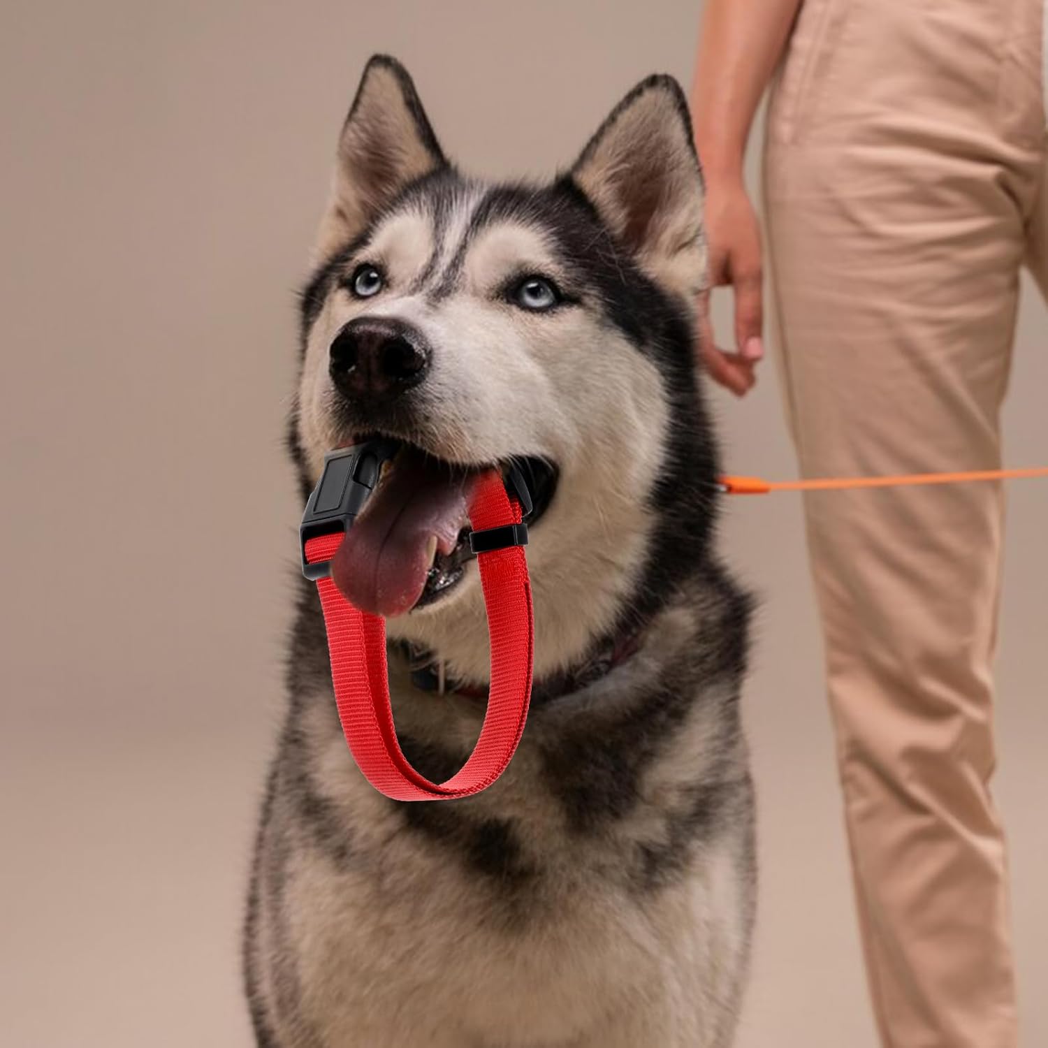 20 Pcs Adjustable Dog Collar 10 Colors Nylon Pet Collar Soft Neoprene Padded Collar with Buckle Heavy Duty Medium Dog Collars for Medium Dogs(Dark Color, Large) - Happypetzone.online - Image 4