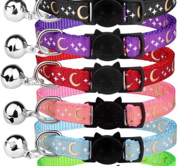 cat collar for kittens