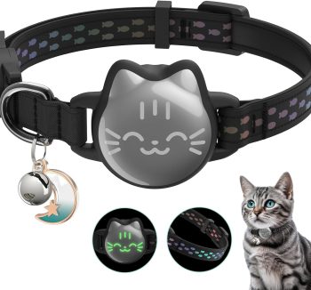 cat collar with name tag