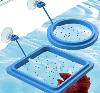 fish food for large fish