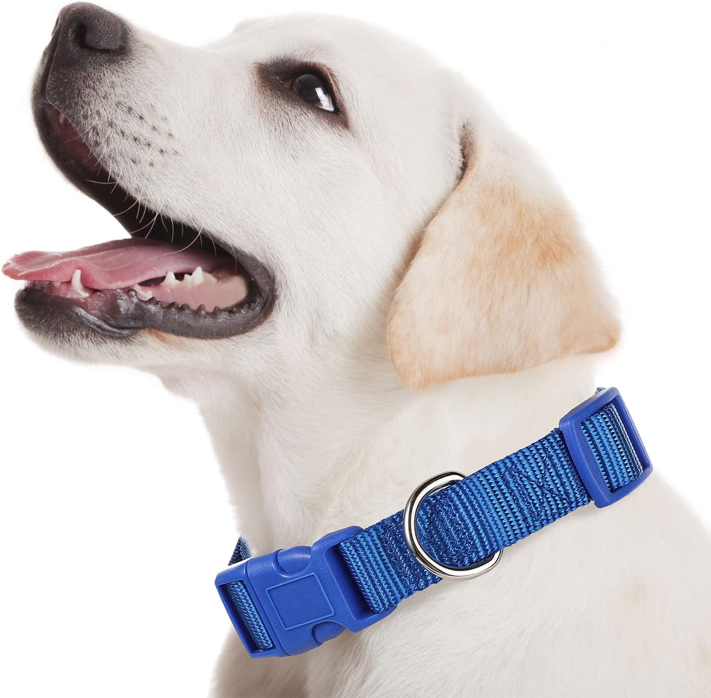 9 Pieces Adjustable Dog Collar for Animal, Soft Nylon Pets Puppy Collar with Quick Release Buckle Holder Bulk for Dogs Walking Running Training(Medium,Retro Colors) - Happypetzone.online - Image 6