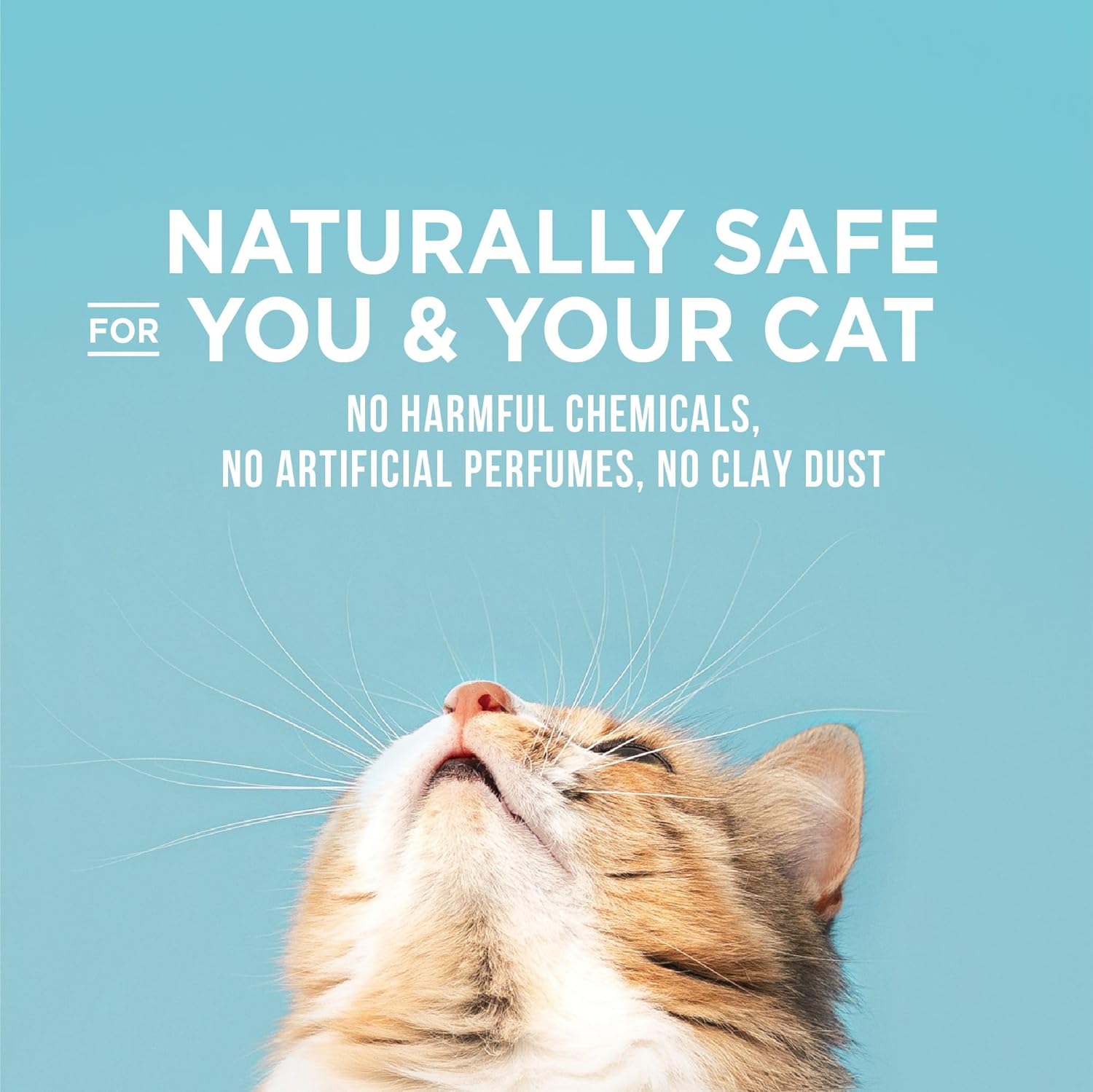 WORLD'S BEST CAT LITTER Poop Fighter Maximum Odor Defense, 15-Pounds - Natural Ingredients, Quick Clumping, Flushable, 99% Dust Free & Made in USA - Long-Lasting Odor Control & Easy Scooping - Happypetzone.online - Image 4