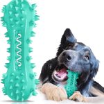 best dog chews for teeth
