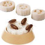 reptile food starter kit