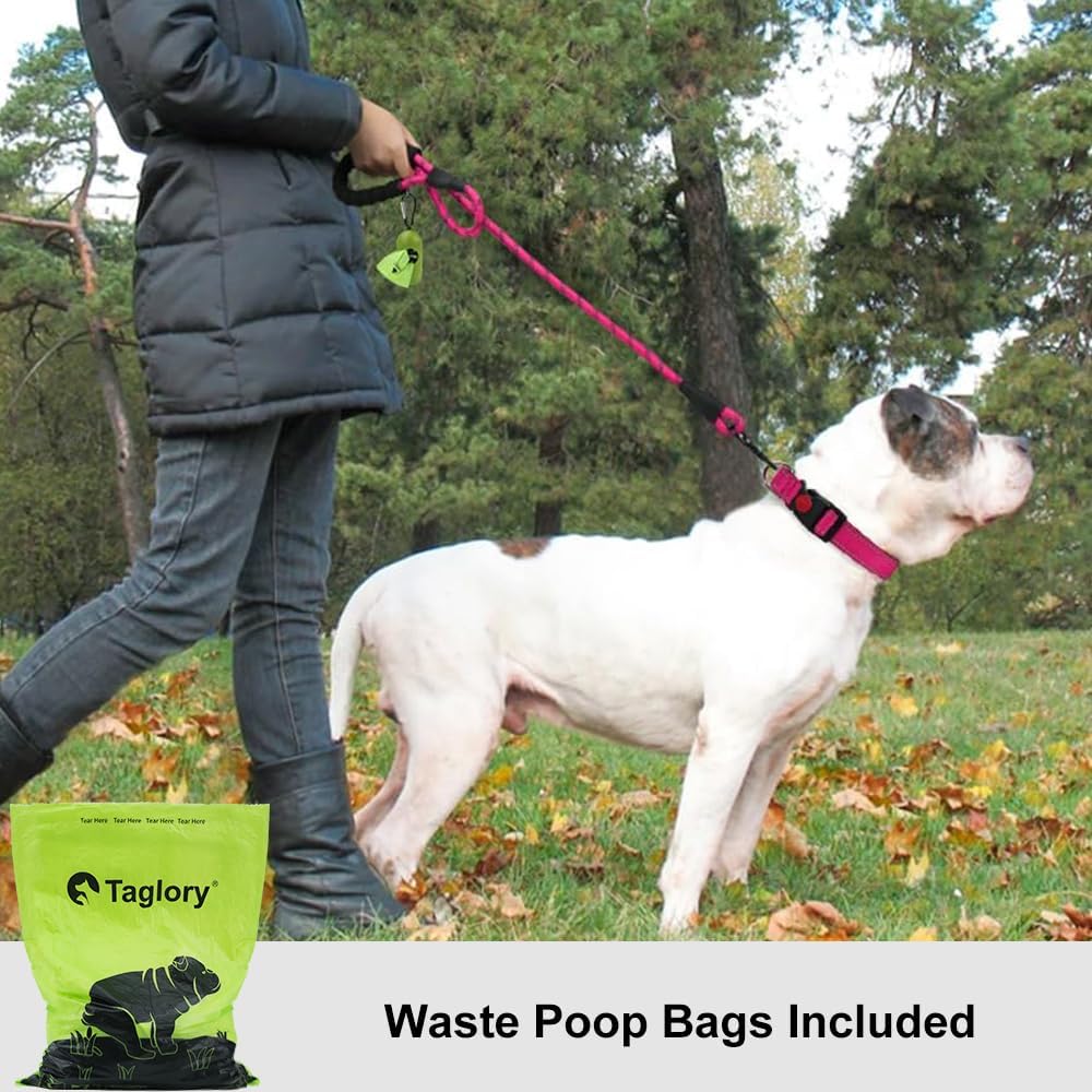 Taglory Rope Dog Leash 6 FT with Comfortable Padded Handle, Highly Reflective Threads Leash and Anti-Tangle Clip for Walking Medium Large Dogs, 1/2 inch, Hotpink - Happypetzone.online - Image 2