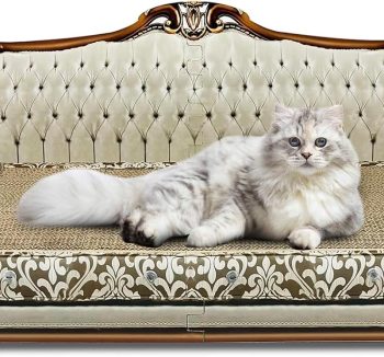 cat sofa for cats