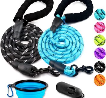 dog leash set