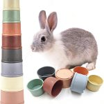 guinea pig enrichment toys