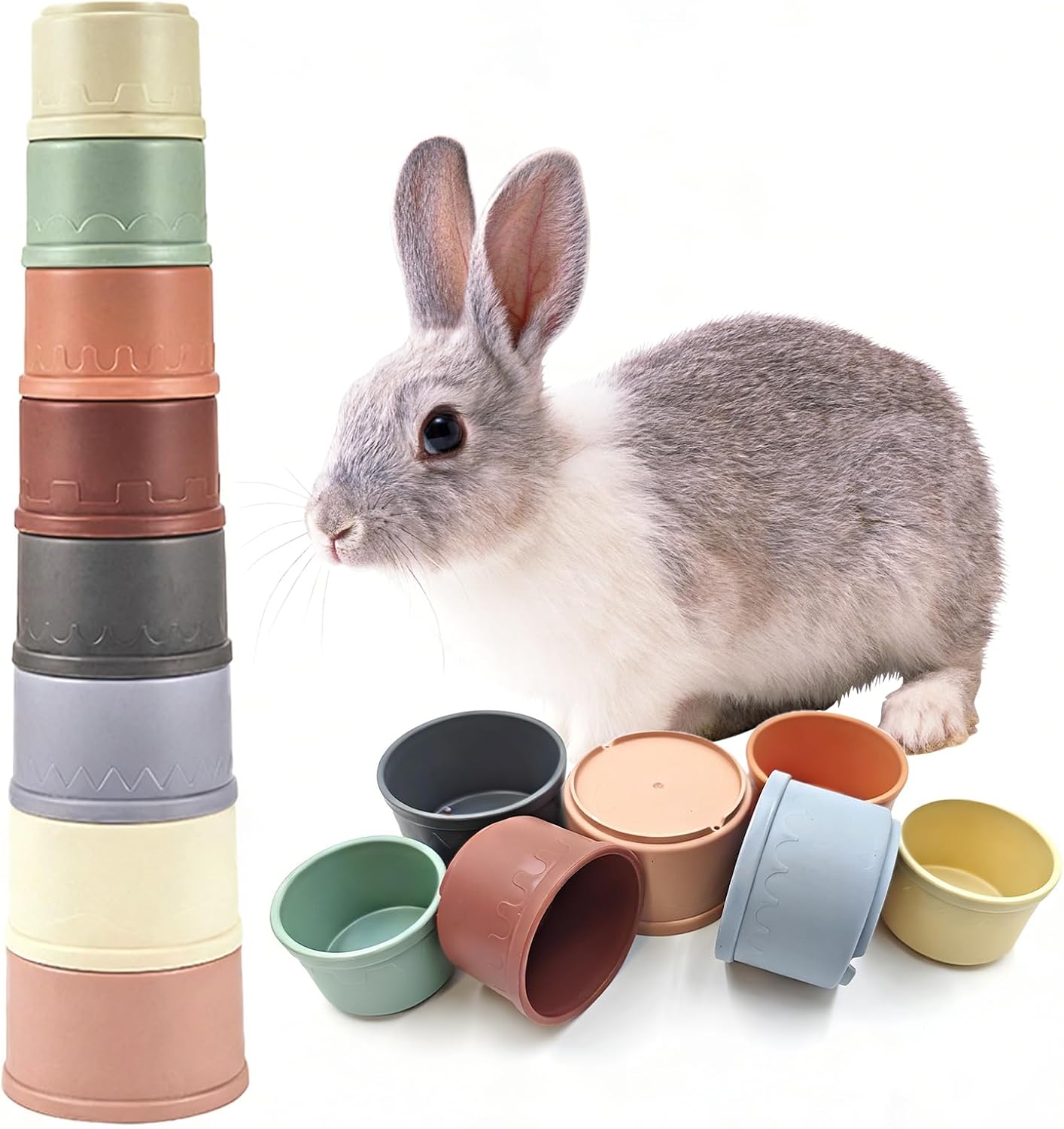 guinea pig enrichment toys