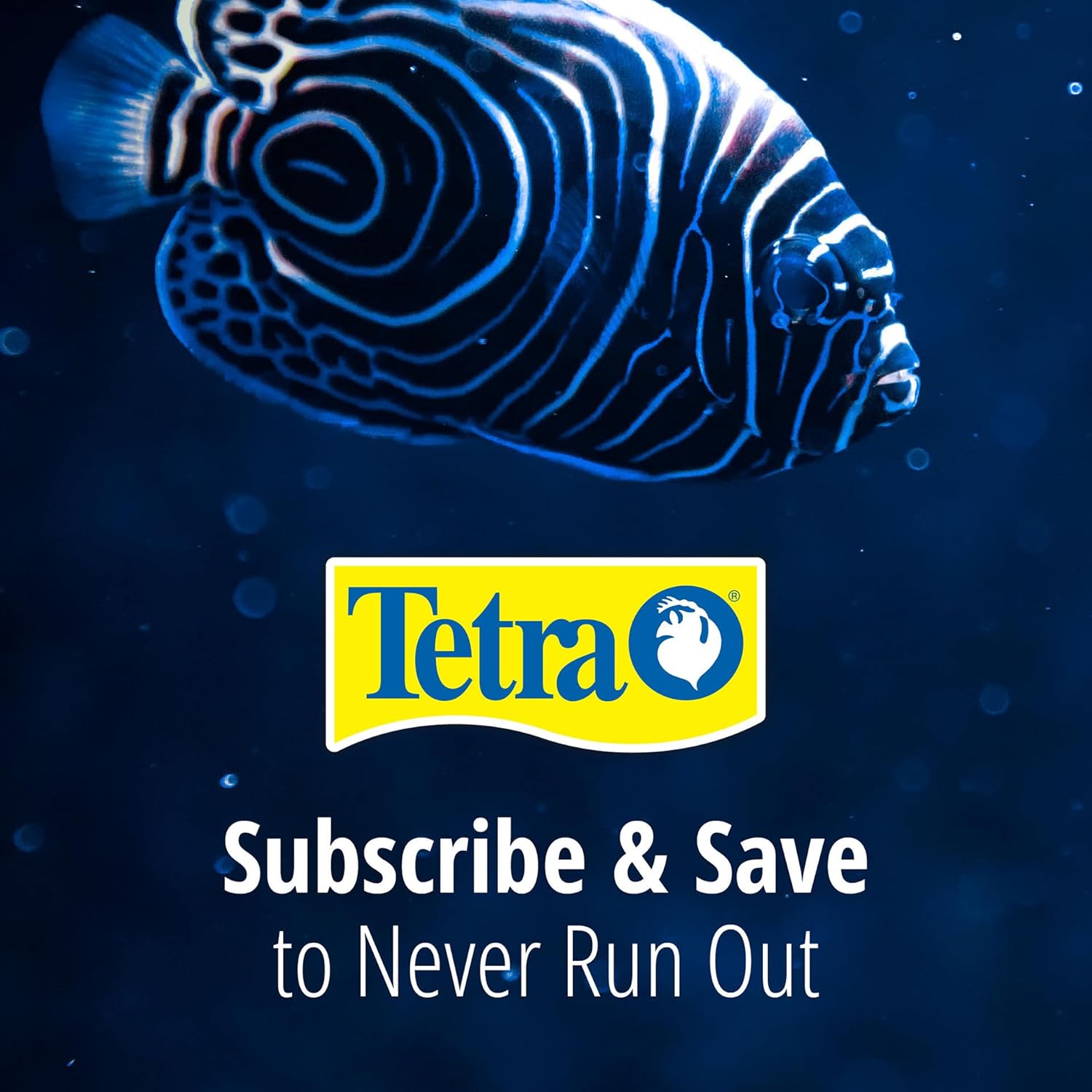Tetra Whisper Bio-Bag Large Filter Cartridges for Aquariums, 12 Count, Unassembled, Fits Tetra Whisper Fish Tank Filters 10-30 Gal, 20-40 Gal, PF-20, 30, 40, 60, IQ 20, 30, 45, 60 - Happypetzone.online - Image 9