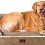 dog bed memory foam