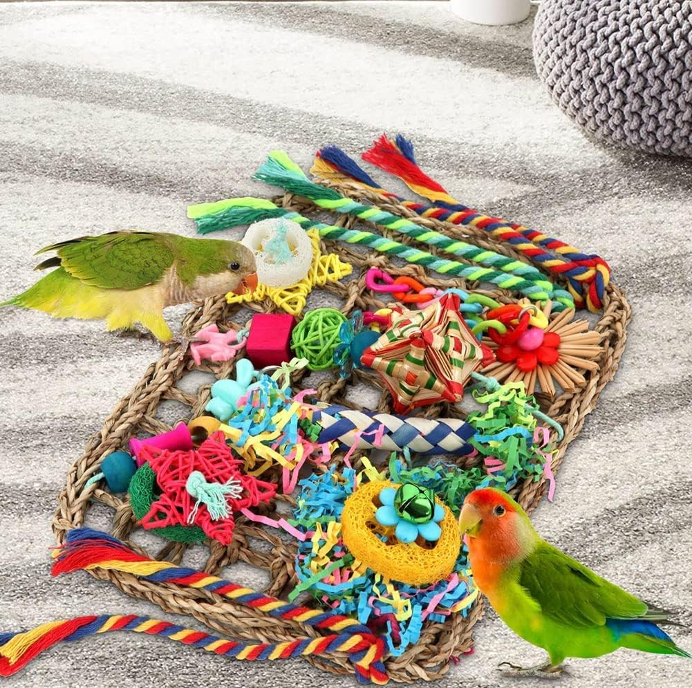 Foraging Toys for Parakeets Cockatiel Conures Lovebirds - Seagrass Wall with Various Bird Toys - Happypetzone.online - Image 3