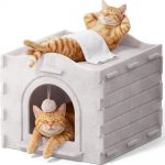 cat bed indoor