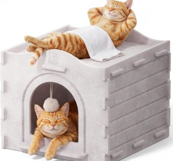cat bed indoor