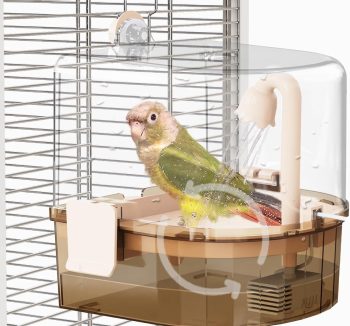 bird cage indoor