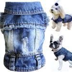 small dog clothes fashion