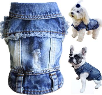 small dog clothes fashion